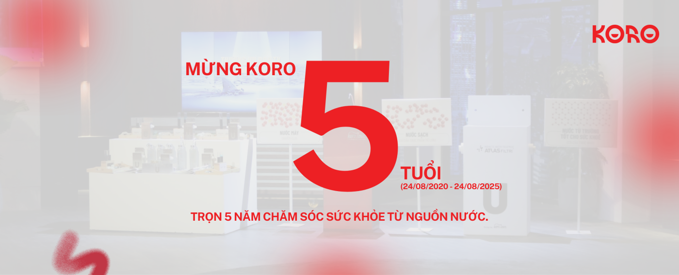 Koro Banner Web 5 nam