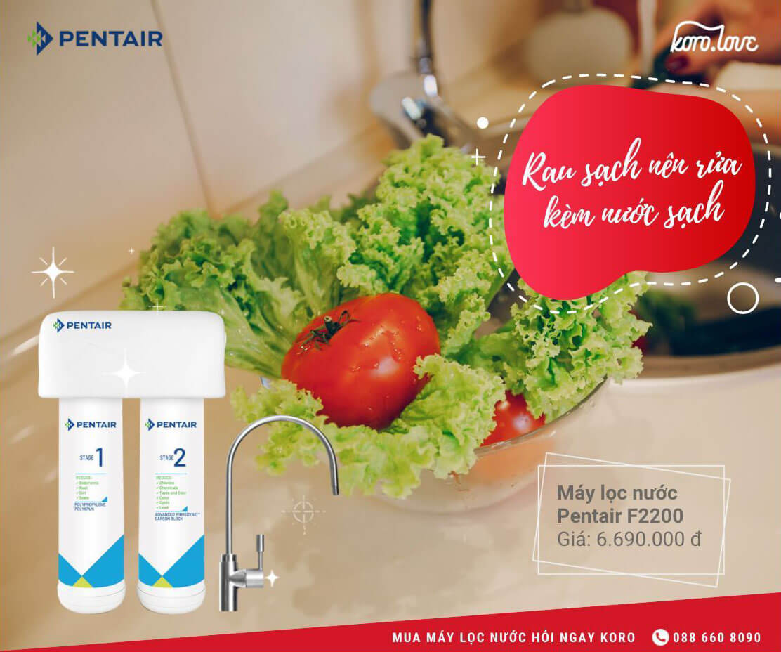 Máy-lọc-nước-Pentair-F2200-máy-lọc-nước-chăm-sóc-sức-khoẻ-cả-gia-dình-koro.love-1