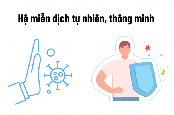 He mien dich tu nhien.koro .love