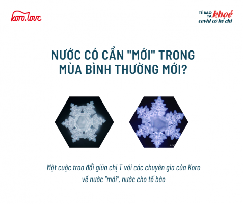 Nuoc co can moi.koro .love 1