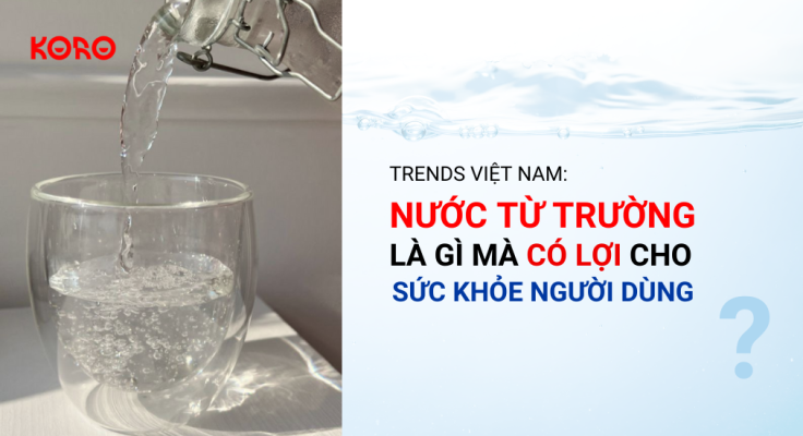 Trends Viet Nam Nuoc tu truong la gi ma co loi cho suc khoe nguoi dung