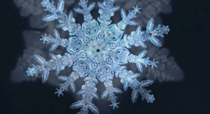 Nước từ trường hay nước tự nhiên