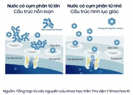 Nước từ trường hay nước tự nhiên 2 So sánh nước có cụm phân tử lớn và nhỏ