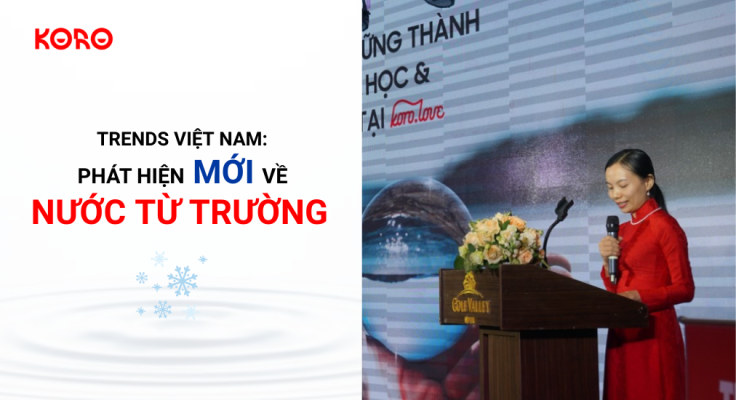 Trends Viet Nam Phat hien moi ve nuoc tu truong