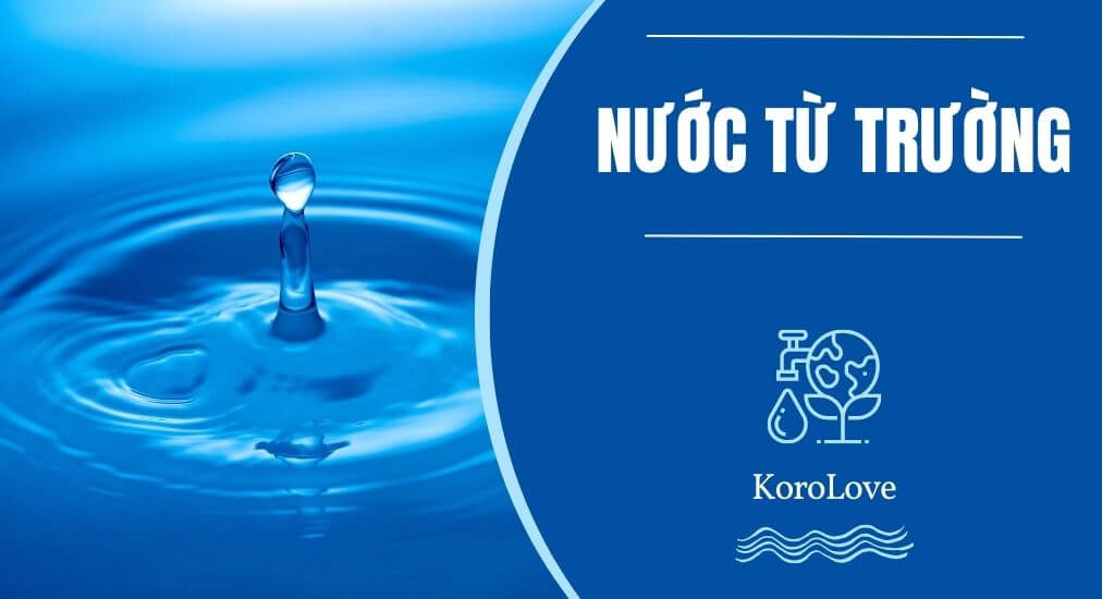 quy trinh ban thiet bi tao nuoc tu truong koro