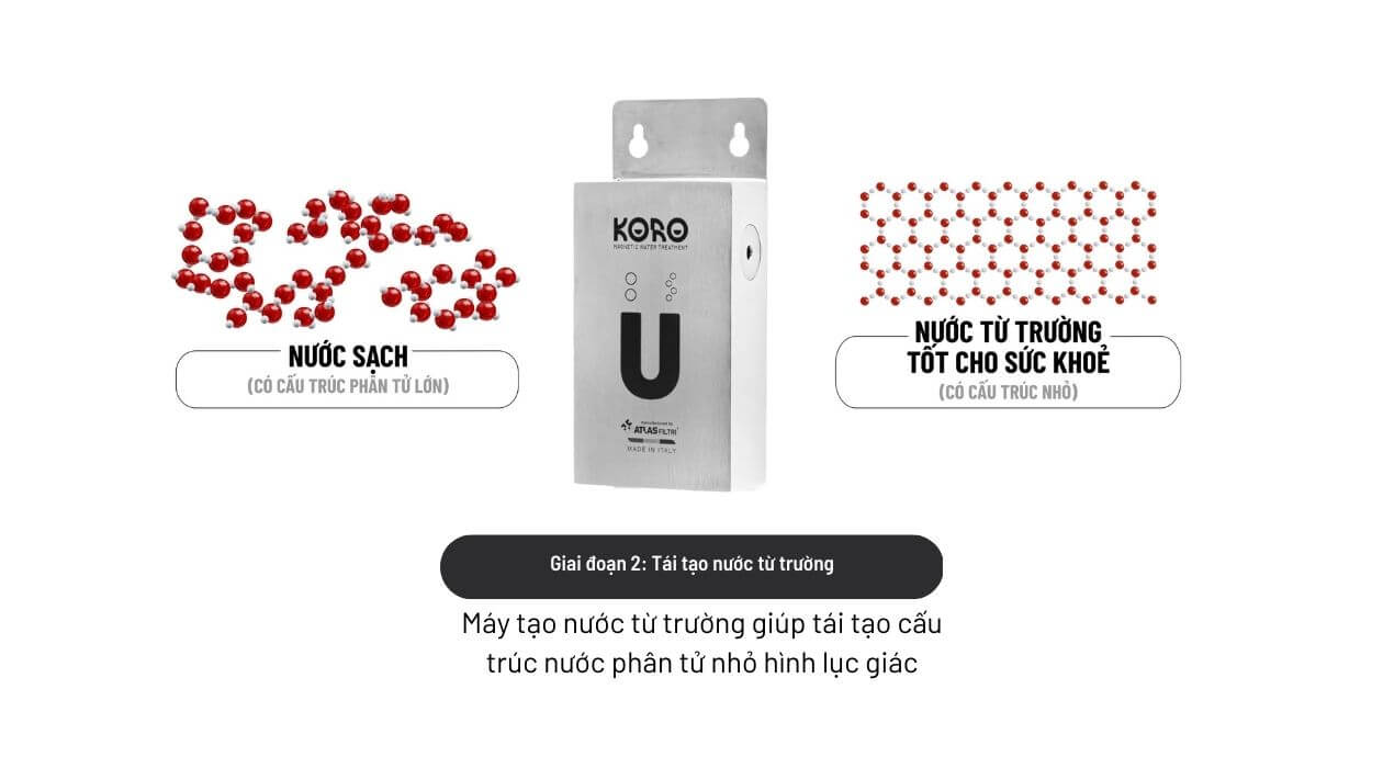 Trang chủ Nước Từ Trường Koro Love 38 giai đoạn 2 tái tạo nước từ trường