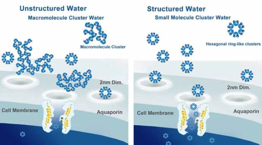 Nước từ trường có cấu trúc lục giác dễ thẩm thấu vào bên trong tế bào và được biết tới như là một loại nước được các tế bào ưa thích