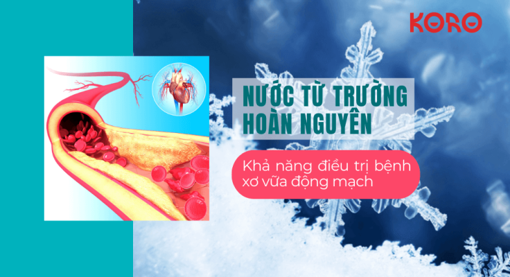KHẢ NĂNG ĐIỀU TRỊ BỆNH XƠ VỮA ĐỘNG MẠCH CỦA NƯỚC TỪ TRƯỜNG HOÀN NGUYÊN