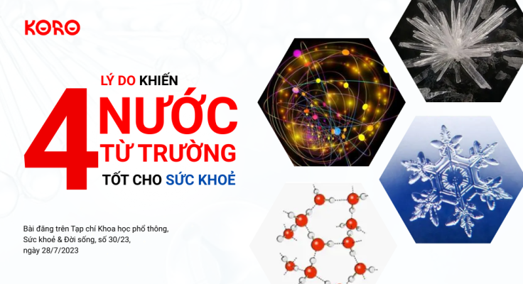 Bon ly do khien cho nuoc tu truong tot cho suc khoe 2