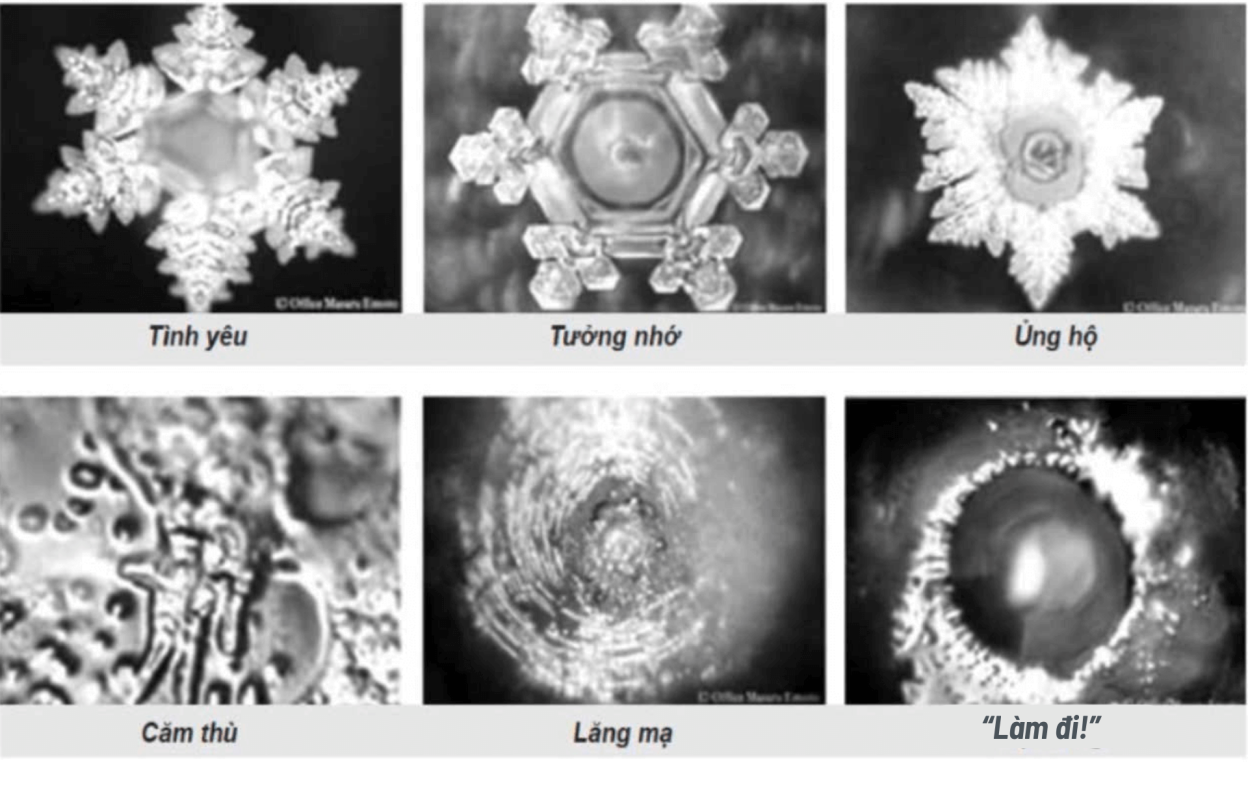 Hinh tinh the nuoc khi tiep nhan nhung ngon tu tich cuc va tieu cuc khac nhau duoc Tien si Masaru Emoto chup lai duoi kinh hien vi. Nguon Internet 1 1