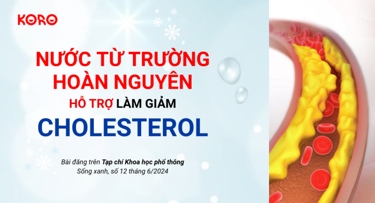 Nuoc tu truong hoan nguyen ho tro lam giam Cholesterol