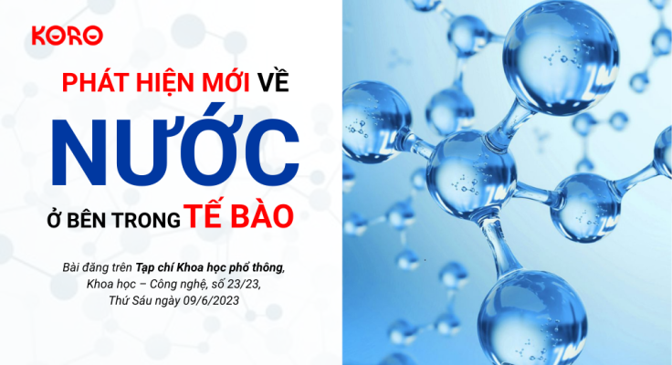 Phat hien moi ve nuoc o ben trong te bao 1