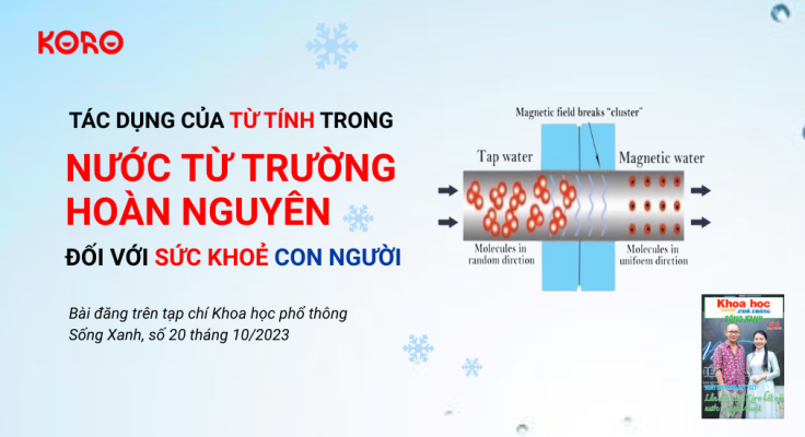 Tac dung cua tu tinh trong nuoc tu truong hoan nguyen doi voi suc khoe con nguoi