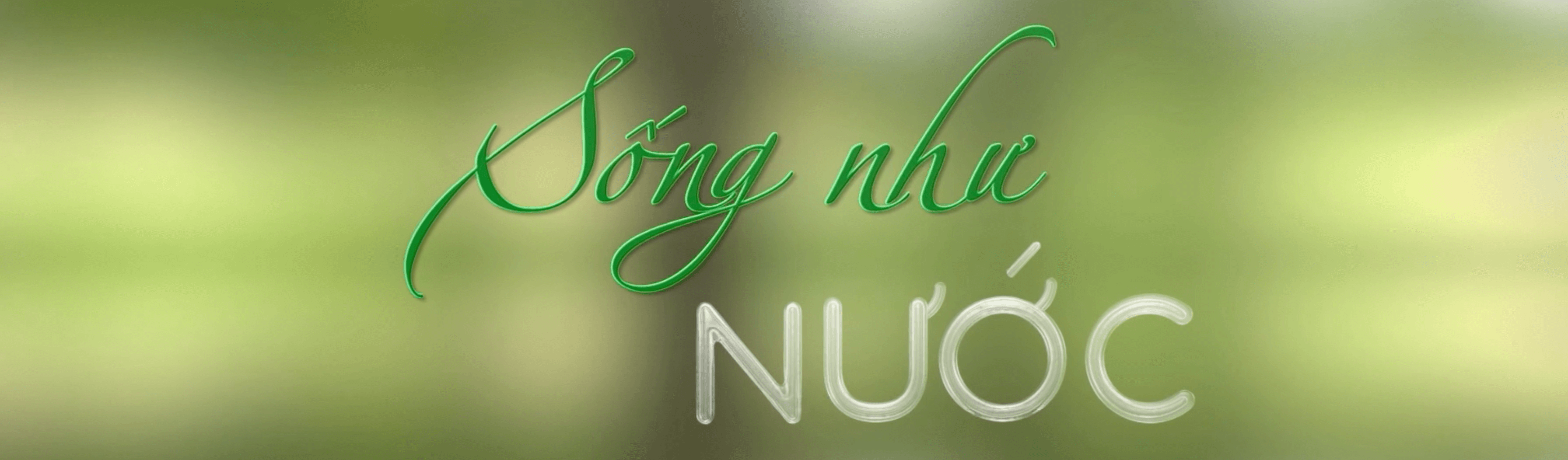 Hỏi đáp về Sống Như Nước