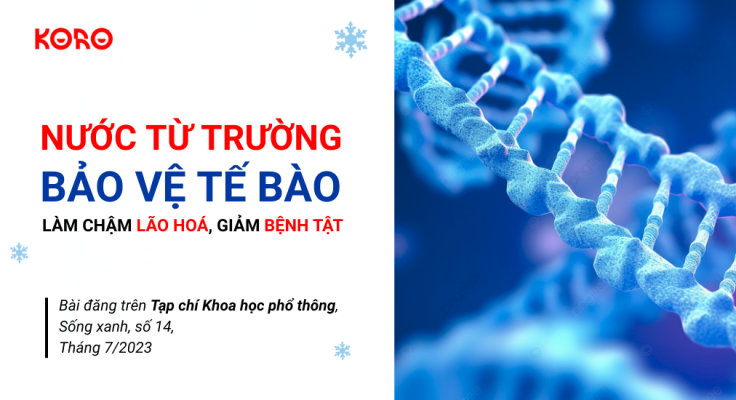 Nuoc tu truong bao ve te bao lam cham lao hoa giam benh tat