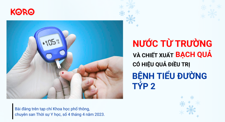 Nuoc tu truong va chiet xuat Bach qua co hieu qua dieu tri benh tieu duong Typ 2