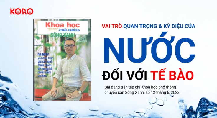 Vai tro quan trong va ky dieu cua nuoc doi voi te bao