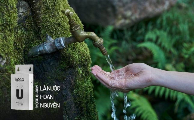 nuoc tu truong la nuoc hoan nguyen 101839